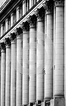 Architecture detail white columns rows