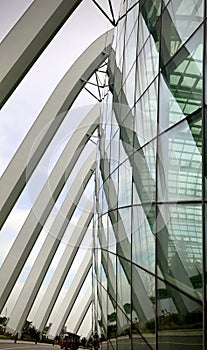 Architecture External Greens Glass curtainwall & whit buttresses.
