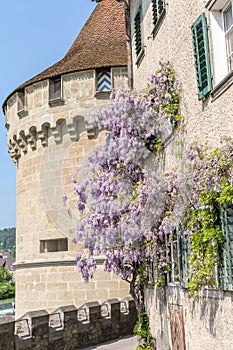 Architecture and flowers at Luzern village
