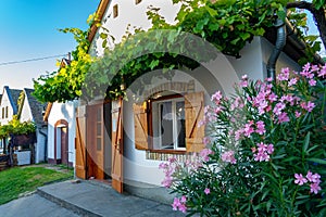 Architecture of the Hajos Baja wine region which is famous for the museal colorful cellar village of Hajos with 1200 little