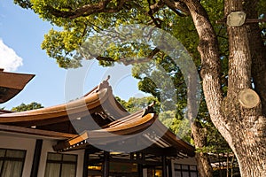 Architecture in Meiji-jingu shrine, Harajuku Tokyo Japan, Japanese traditional culture