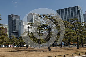 Architecture in the Nijubashimae distric of Tokyo,