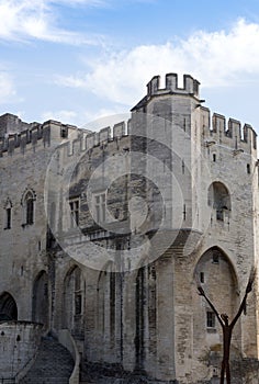 The Architecture of the Palais des Papes