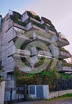 Architecture Rimini Italy flats with plants photo