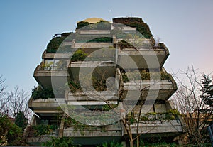 Architecture Rimini Italy flats with plants photo