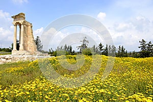 Architecture from the sanctuary of Apollon Hylates