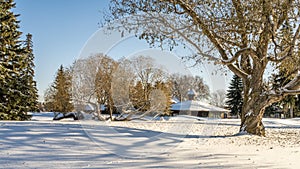 Architecture, snowy, village, rural, ski, house, wood, shed, forest, frost, tree, blue, sky, white, cold, blue sky, building,