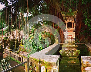 Architecture in jungles, Ubud, Bali photo