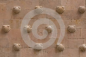 Architecture textures, detailed view of a traditional pattern texture wall on shell house, Casa de las Conchas, on Salamanca