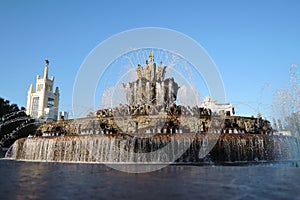 Architecture of VDNKH park in Moscow. Stone flower fountain.