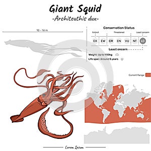 Architeuthis dux Giant Squid geographic range photo