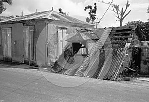 Archive image of cyclone Hugo in Guadeloupe