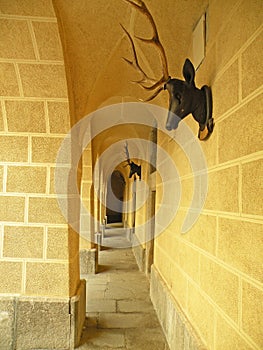 Archway with deer antlers