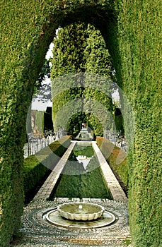 Archway in hedge, the Alhambra