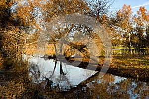 Archway and Reflection at Lindo Lake photo