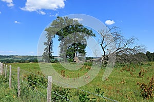 An archway in the trees overlooking the Westerham countryside