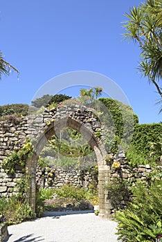 Archway with tropical plants, Scilly Islands photo