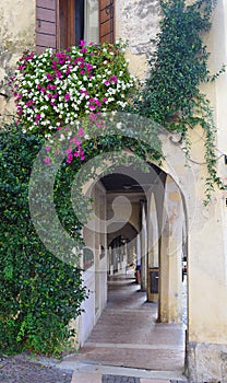 Archways and colourful flowers in Asolo Italy