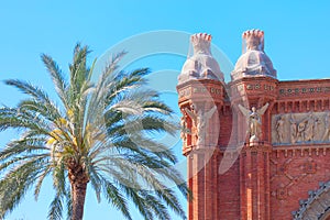 Arco de Triunfo and palm tree