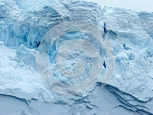 Arctic abstract