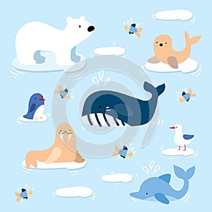 Arctic Animal and Fish Child Graphic Illustration