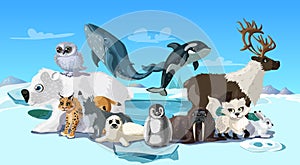 Arctic Animals Cartoon Template