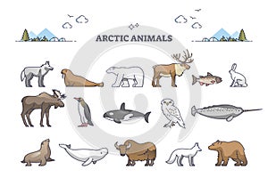 Arctic animals collection with cold north environment wildlife outline set