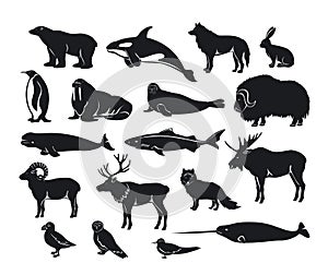Arctic animals Silhouette collection
