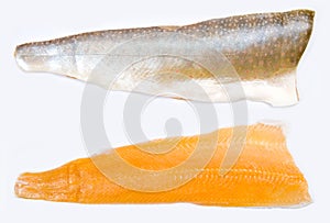 Arctic Char Fillets