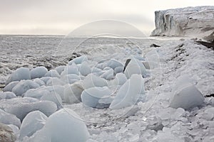 Arctic coast