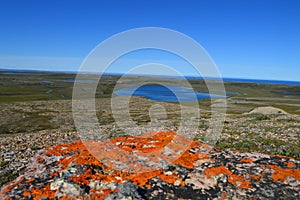 Arctic Coastline