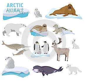 Arctic creature cartoon on blue background. Polar animals. Vector collection of polar animals and birds, including polar