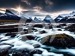 Arctic focus detailed high quality sharply defined.