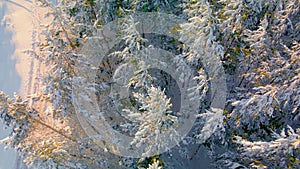 Arctic frozen forest in a snowy frost.Crystals of frozen snowflakes on branches in cold winter weather