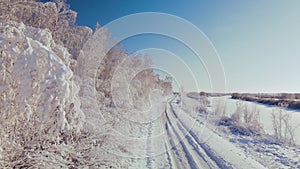 Arctic frozen forest in a snowy frost.Crystals of frozen snowflakes on branches in cold winter weather