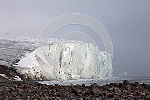 Arctic glacier