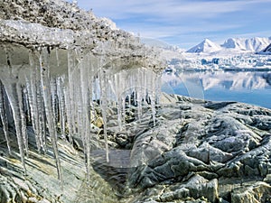 Arctic glacier landscape - Spitsbergen