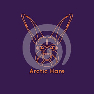 Arctic hare logo vector