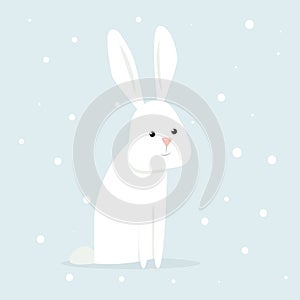 Arctic hare vector