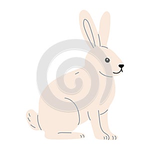 Arctic hare on white background, vector illustration in flat style.