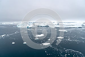 Arctic Icebergs Greenland in the arctic sea