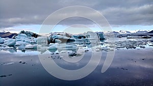 Arctic landscape with  ice floes