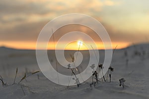 Arctic landscape in winter time. Grass with ice and snow in tundra. Sunset