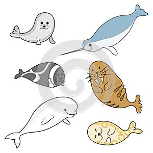Arctic marine mammals set dolphins and seals. Vector cartoon color image.