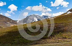 Arctic mountains with snow, trees and grass fields