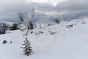 Arctic Norway in Winter