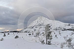 Arctic Norway in Winter