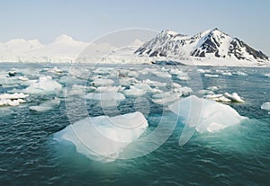 Arctic Ocean - ice in the sea photo