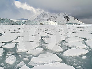 Arctic Ocean - pack ice on the sea surface