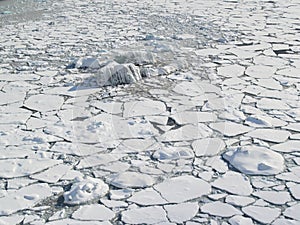 Arctic Ocean - pack ice on the sea surface